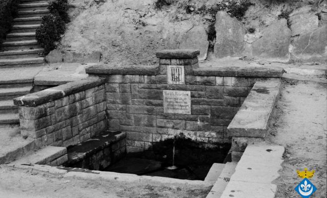 Font de la Ricardera