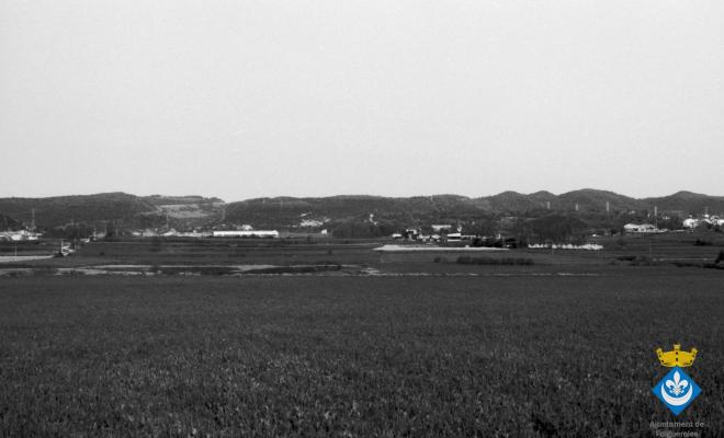 Camps de conreu amb Folgueroles i Sant Julià de Vilatorta al fons