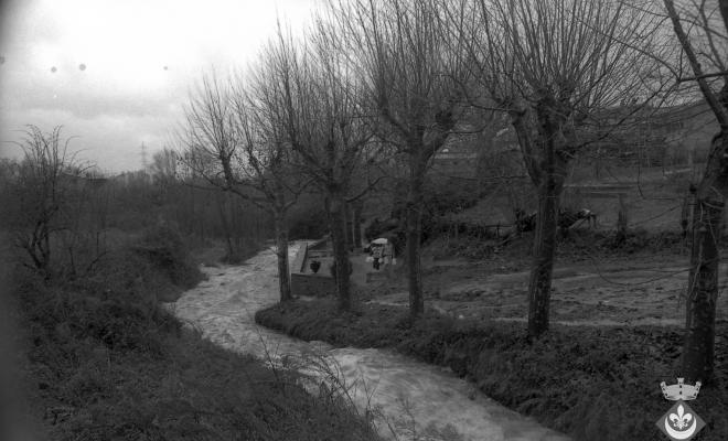 Torrent de Folgueroles al pas per la font de la Ricardera