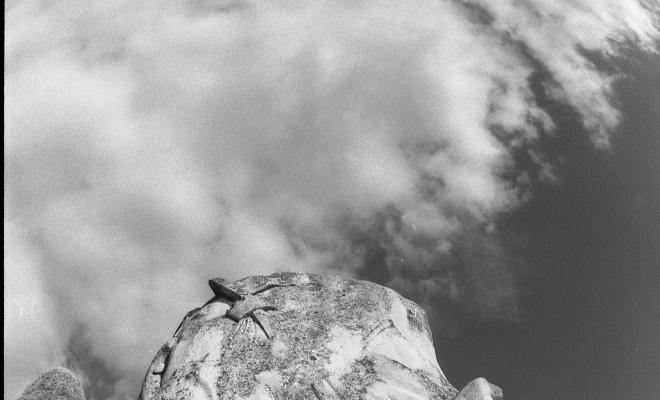 Monument a l'Atlàntida