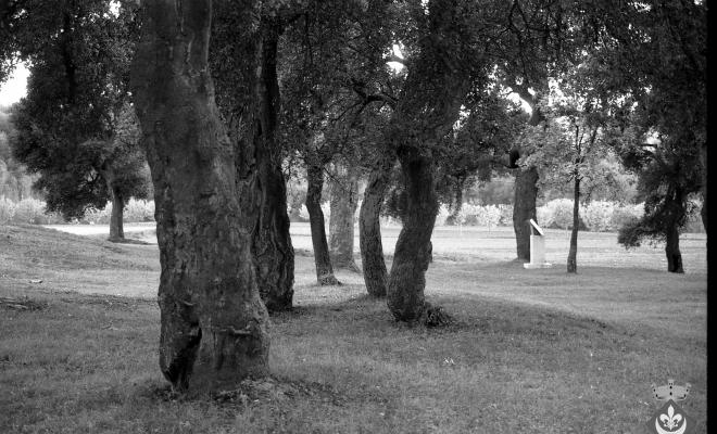 Bosc de les Alzines Sureres amb el monument de l'Àlbula, obra del pintor i escultor Pablo Palazuelo, inaugurada l'any 1996
