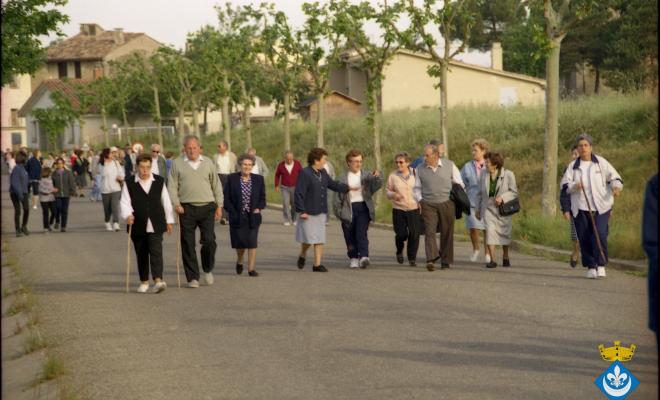 Caminada dels avis