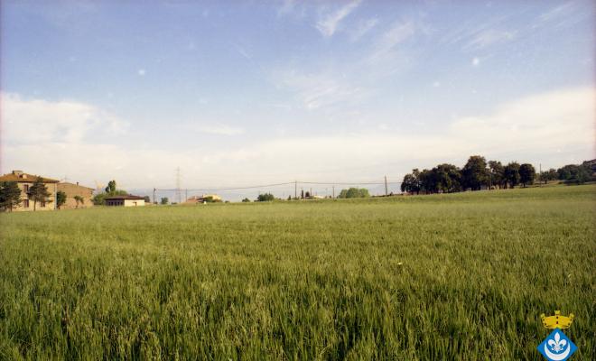 Caminada dels avis