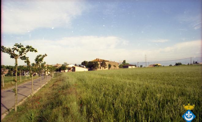 Caminada dels avis