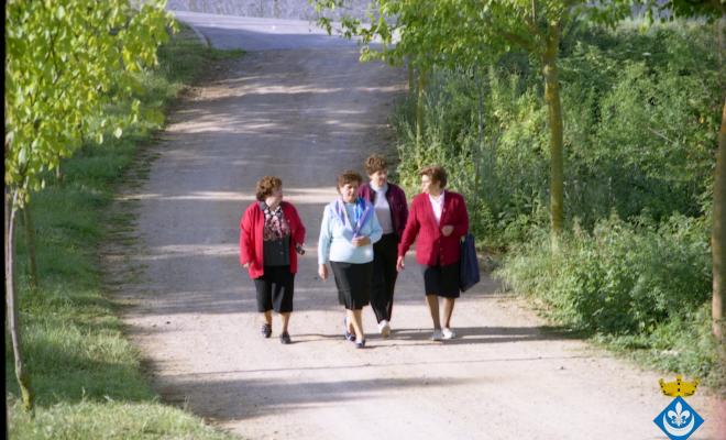 Caminada dels avis