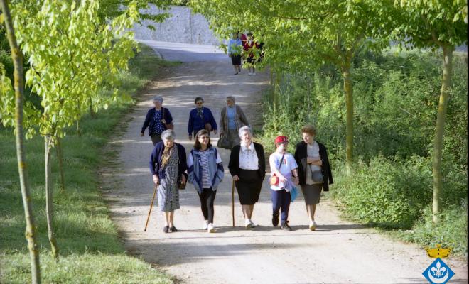 Caminada dels avis