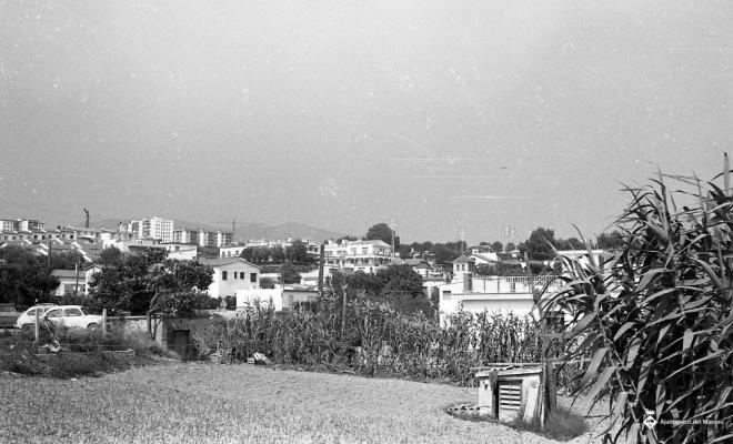 Vista del Masnou