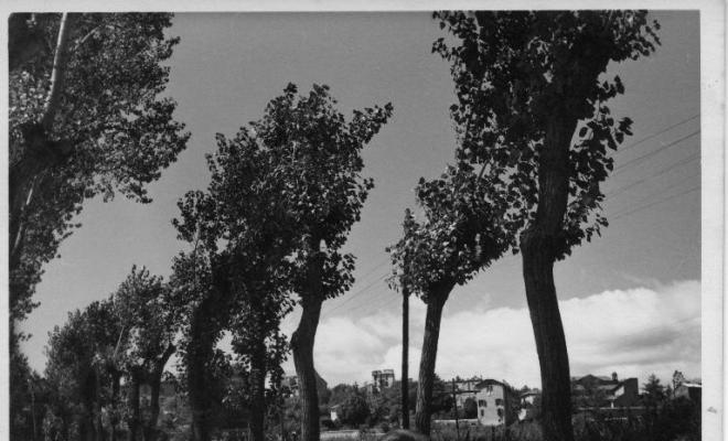Un home caminant per la carretera de Puigcerdà a la Guingueta d'Ix