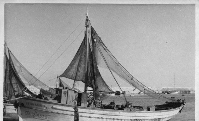 Barques de pesca al port de Blanes (la Selva)