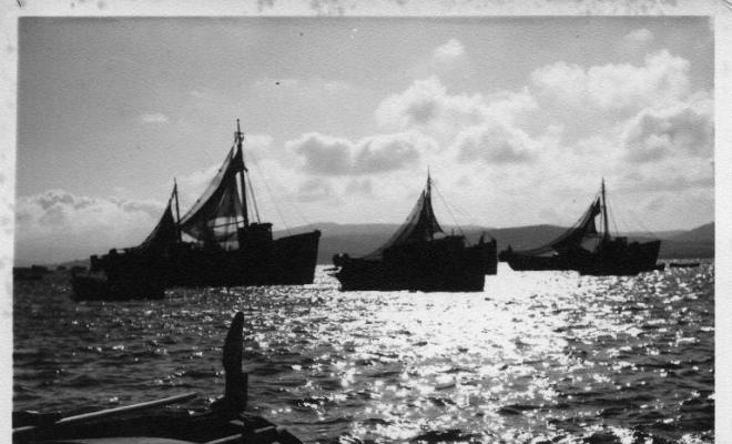 Barques de pesca a la zona de Roses(Alt Empordà)