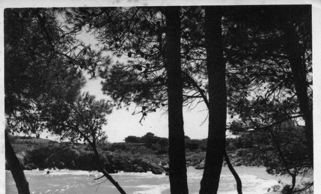 Vista d'una platja de l'Escala (Alt Empordà)