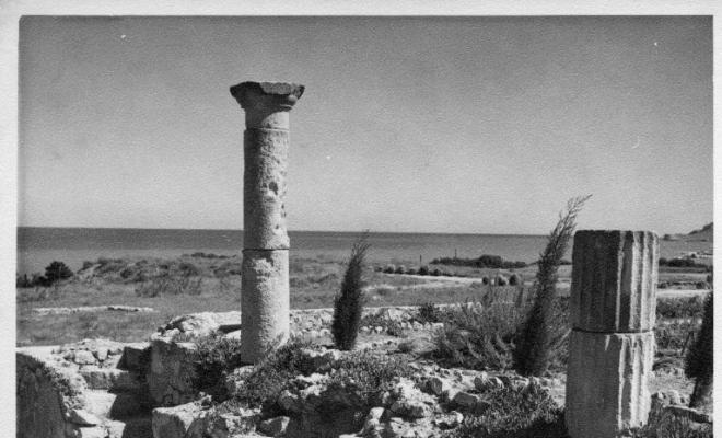 Vista de les ruïnes d'Empúries (Alt Empordà)