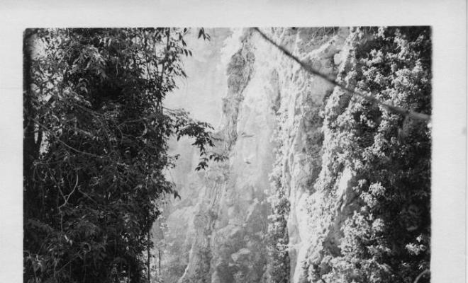 Salt d'aigua entre la vegetació al Monasterio de Piedra