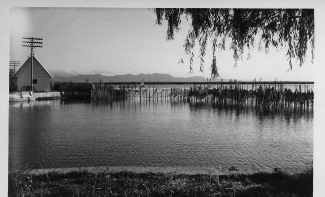 Vista de l'Albufera de València entre les canyes