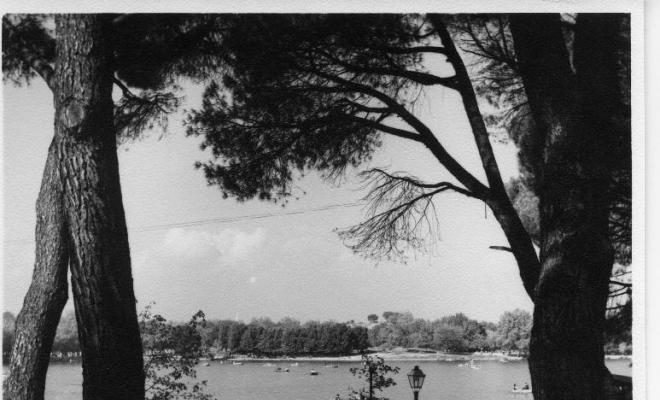 Vista de l'estany del Retiro de Madrid