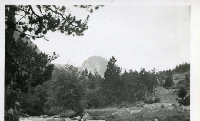 Riu Escrita a la zona d'Espot (Pallars Sobirà)