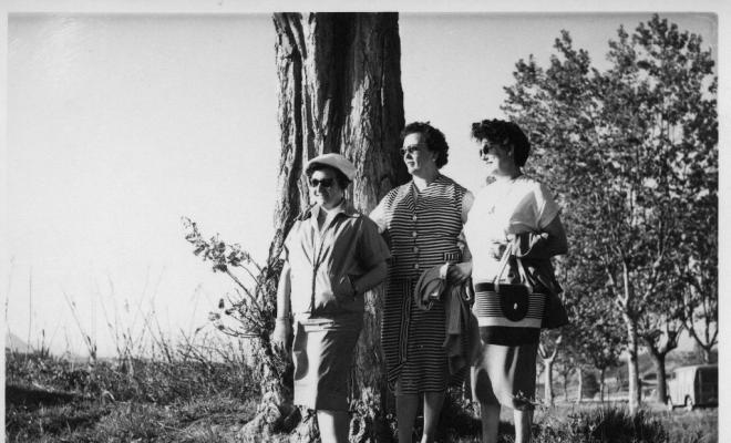 Tres dones d'excursió al costat d'un arbre