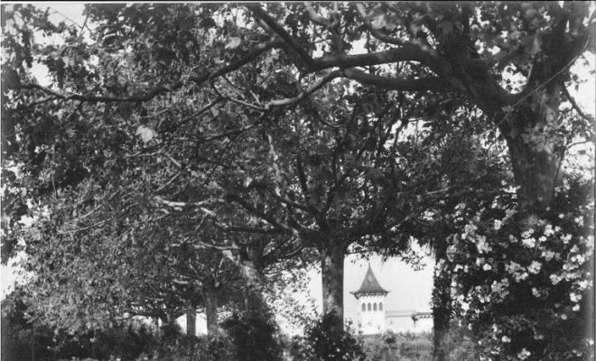 El Castellet vist des del parc de Cal Marquès