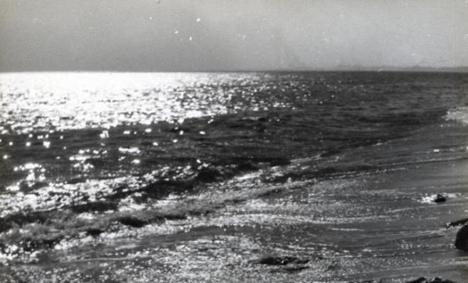 Detall d'unes roques a la vora del mar