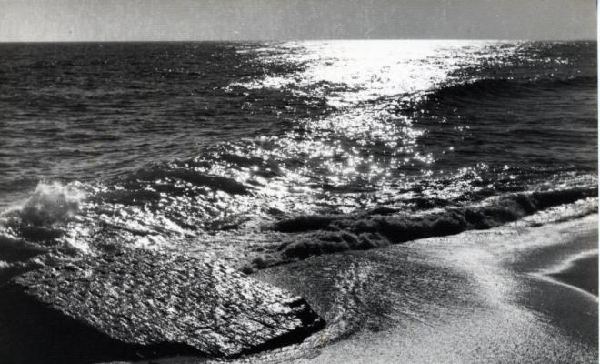 Gran roca a la vora del mar a la platja del Masnou