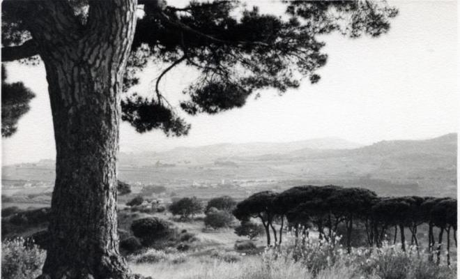 Pi de l'Indià