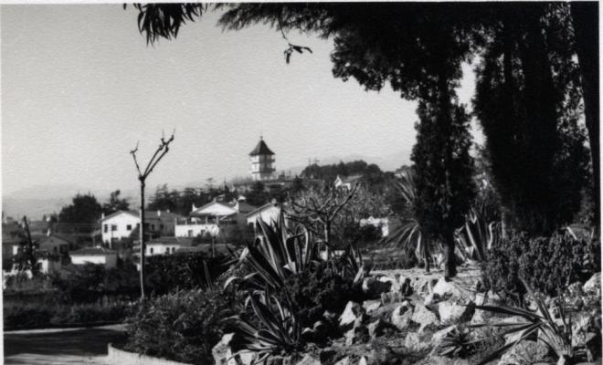 Vista d'un carrer de la urbanització Califòrnia