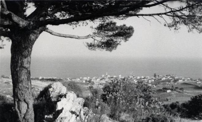 Perspectiva del Masnou des de la zona del Pi de l'Indià