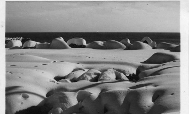 Platja del Masnou coberta de neu