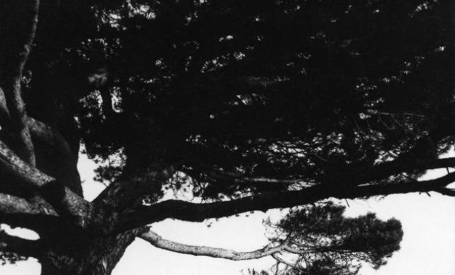 Perspectiva del Masnou des del Pi de l'Indià