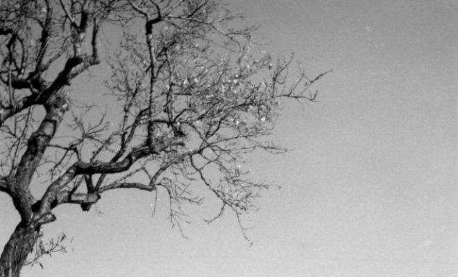 Perspectiva del Masnou en la qual destaca l'Alberg i Can Guarino