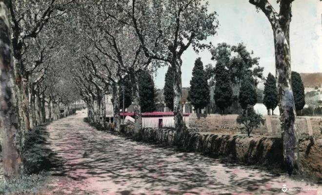 Vista de l'antic camí d'Alella