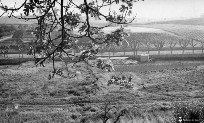 Vista dels camps des de Can Sors