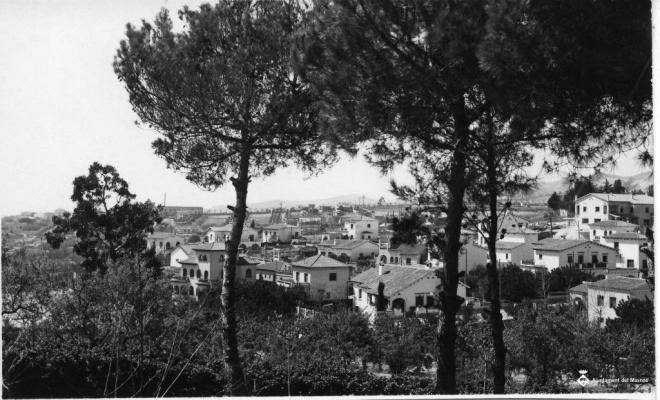 Perspectiva del Masnou entre dos pins