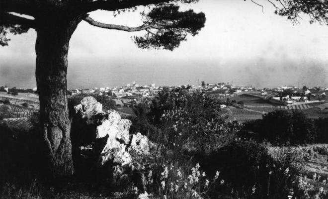 Perspectiva del Masnou des d'una turó