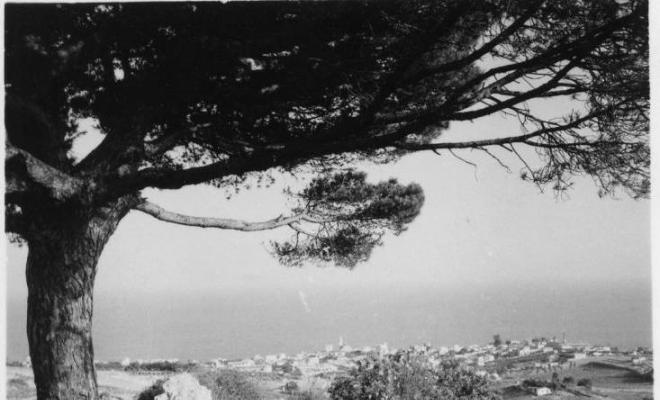 Vista del Masnou des del Pi de l'Indià