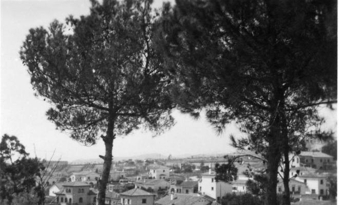 Arbres en primer pla i vista de cases de poble