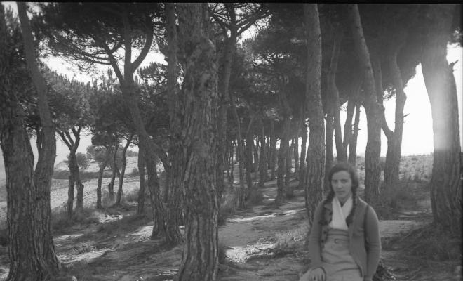 Retrat noia al bosc