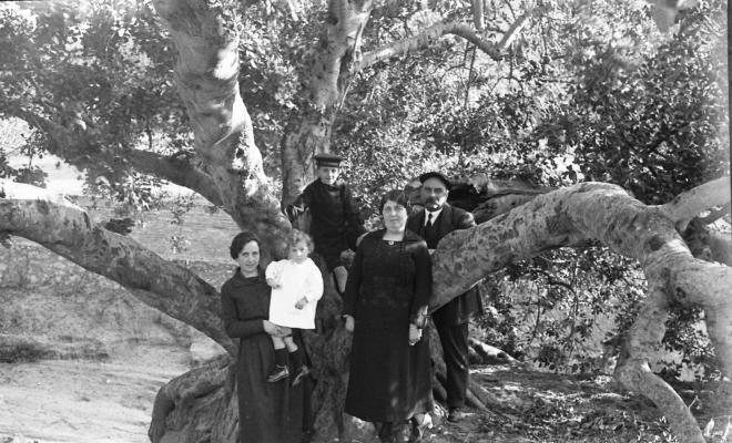 Retrat d'una família en un bosc