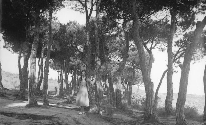 Retrat d'una noia en un bosc
