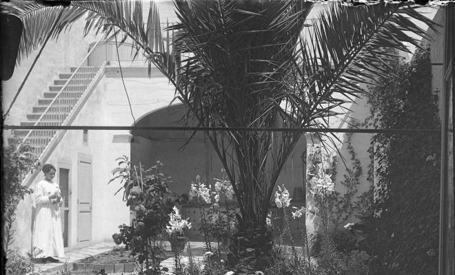Vista del jardí d'una casa