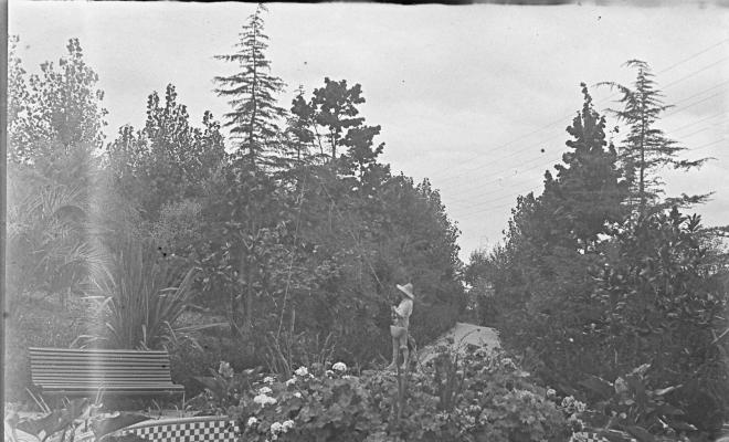 Vista jardí Villa Montevideo