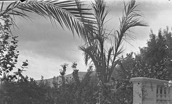 Vista del jardí Villa Montevideo