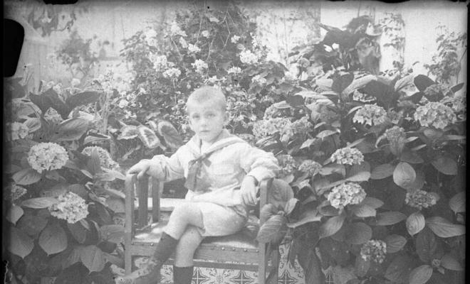 Retrat d'un nen assegut en una cadira al jardí