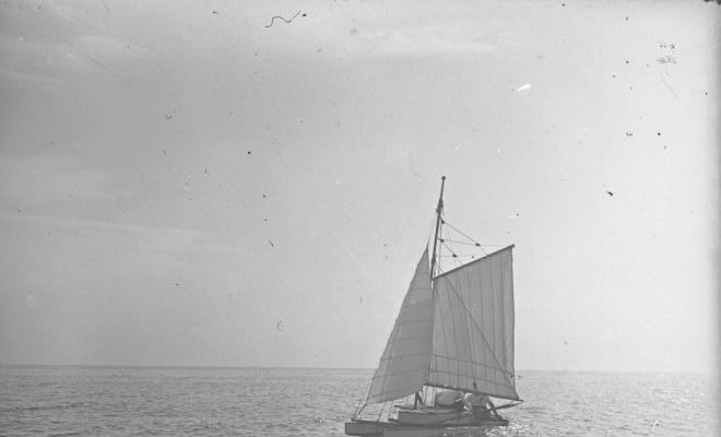 Patí al mar