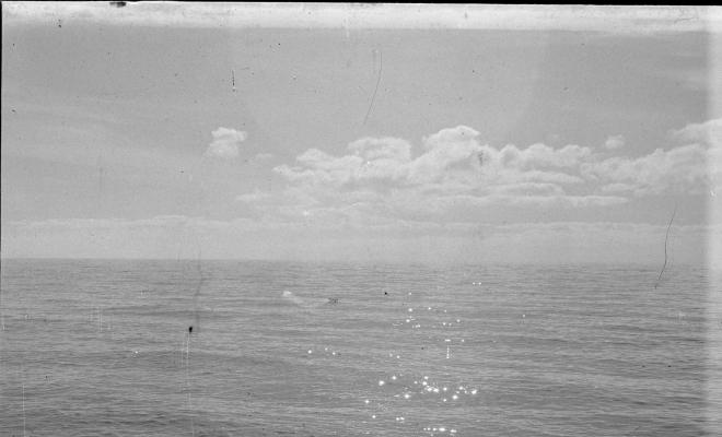 Vista del mar