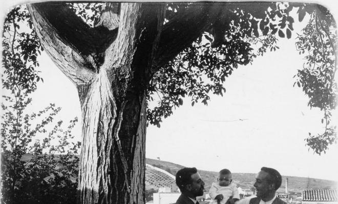 Retrat de dos homes amb nadó al costat d'un arbre