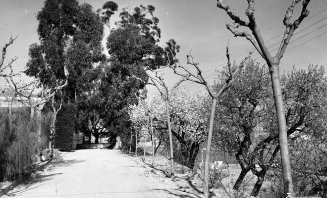 Alberg del Masnou