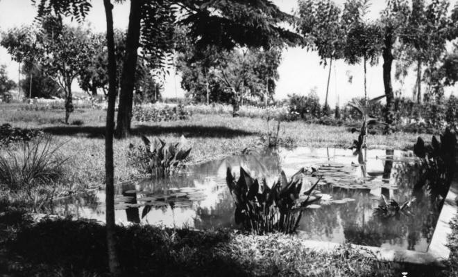 Alberg del Masnou