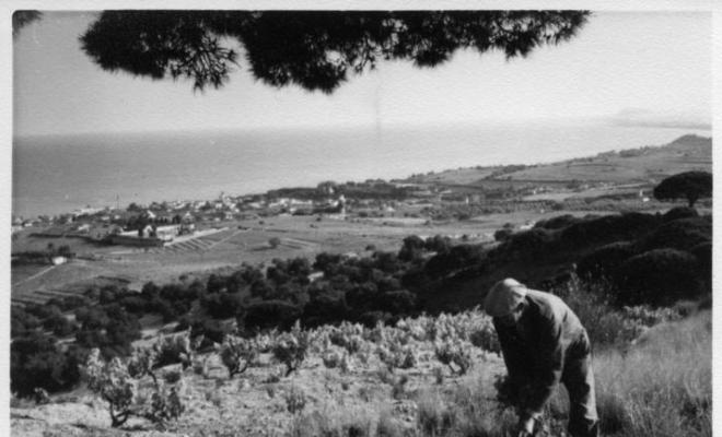 Pagès amb vinyes i vista panoràmica