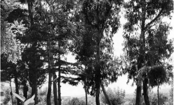 Alberg del Masnou